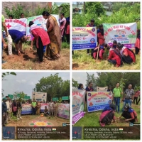 Ek Pad Maa Ke Namm 2.0